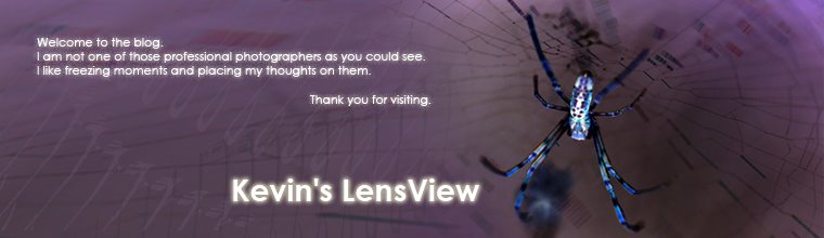 Kevin's LensView