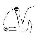 [Imagen1.png]