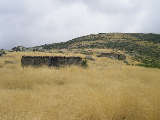 Majada-de-cabreros pastoreo en el valle del jerte