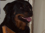 Brandy