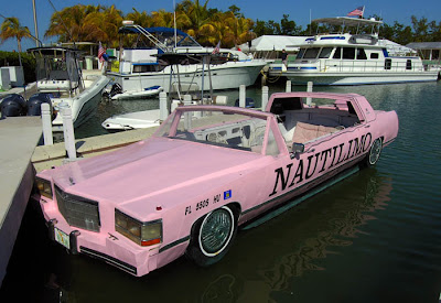 limo floridas