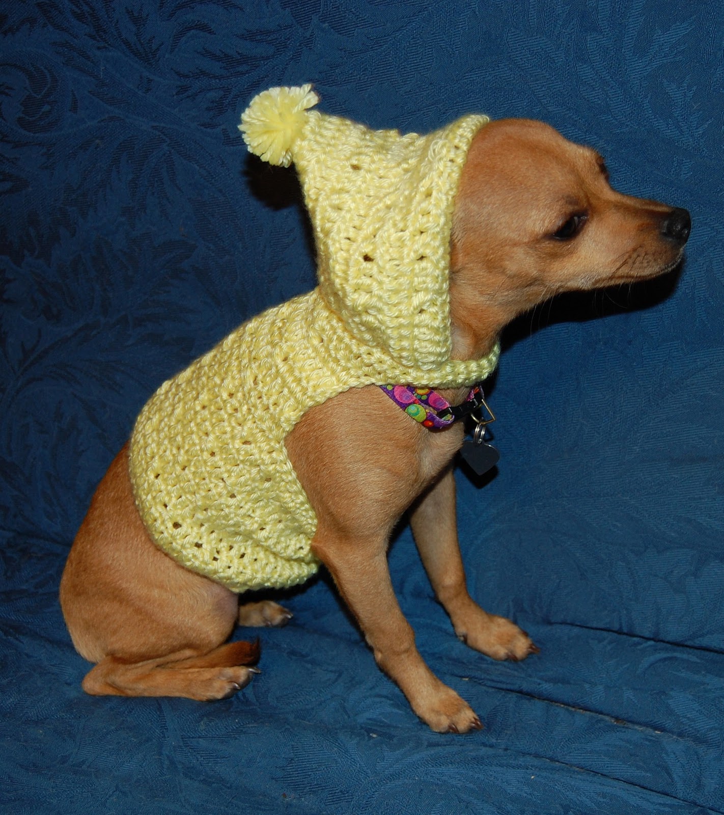 Amigurumi Rabbit Sushi Chihuahua Doggie Mommin Crochet review