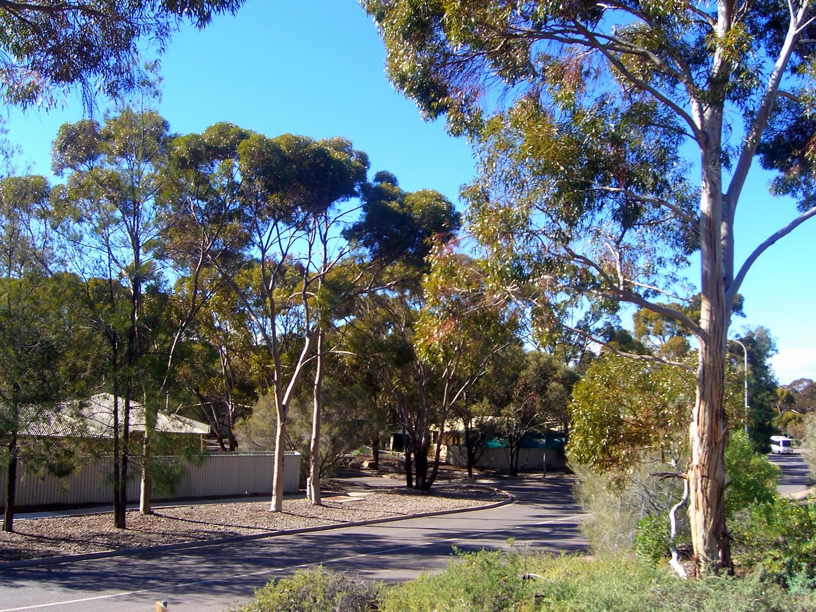 Lake Eyre Holiday Reflections Leigh Creek Coal Mine Getting Ready