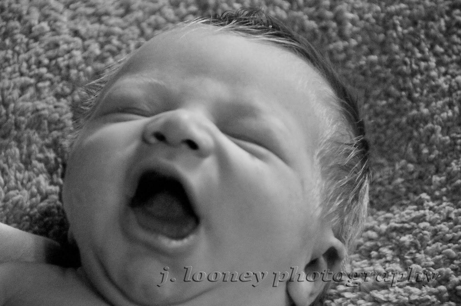 j. looney photography Baby {A} 5 days old