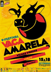 stereovitrola em mais uma de suas tocadas. 9-Festival Vaca Amarela2010