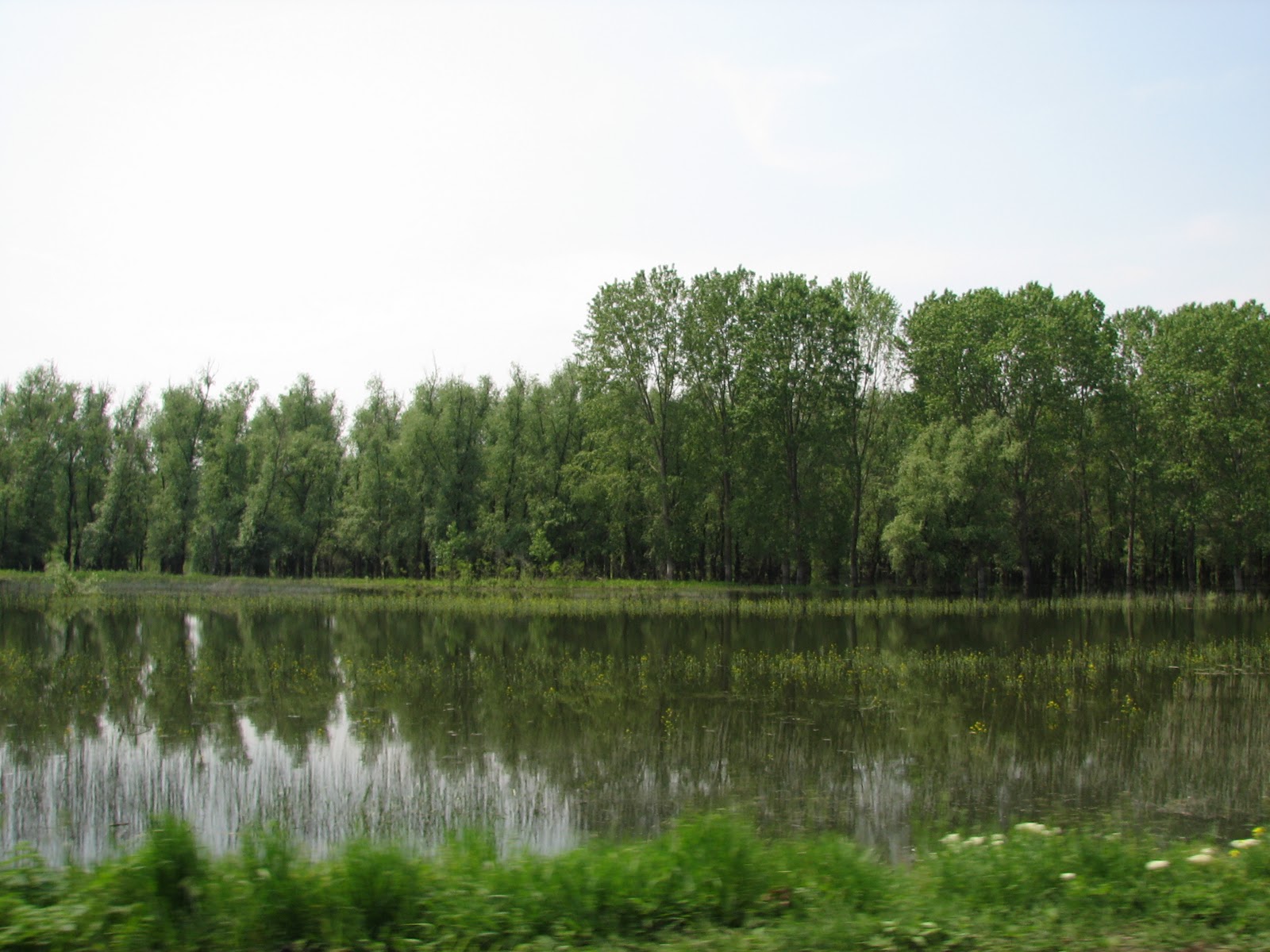 Romania prin ochii mei: Delta Dunarii