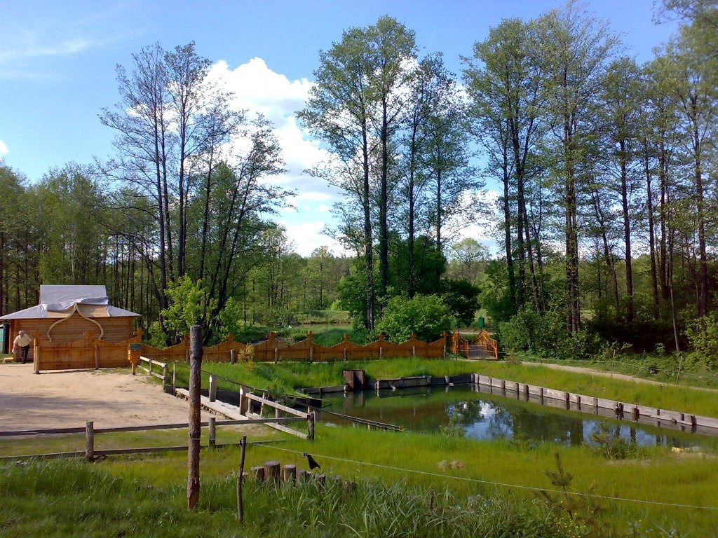 кипяче ое. кипяче ое. кипяче ое. кипячий ключ шатки родник. женский монастырь афонской иконы пресвятой богородицы (чоповичи).