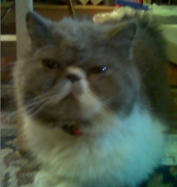 [Franklin+-+Wilford+Brimley.jpg]