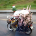 bukan kita aje makan tak halal