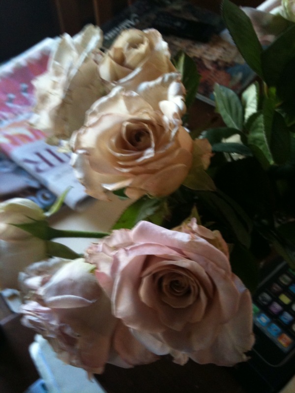 [roses.jpg]