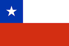 Bandera Actual