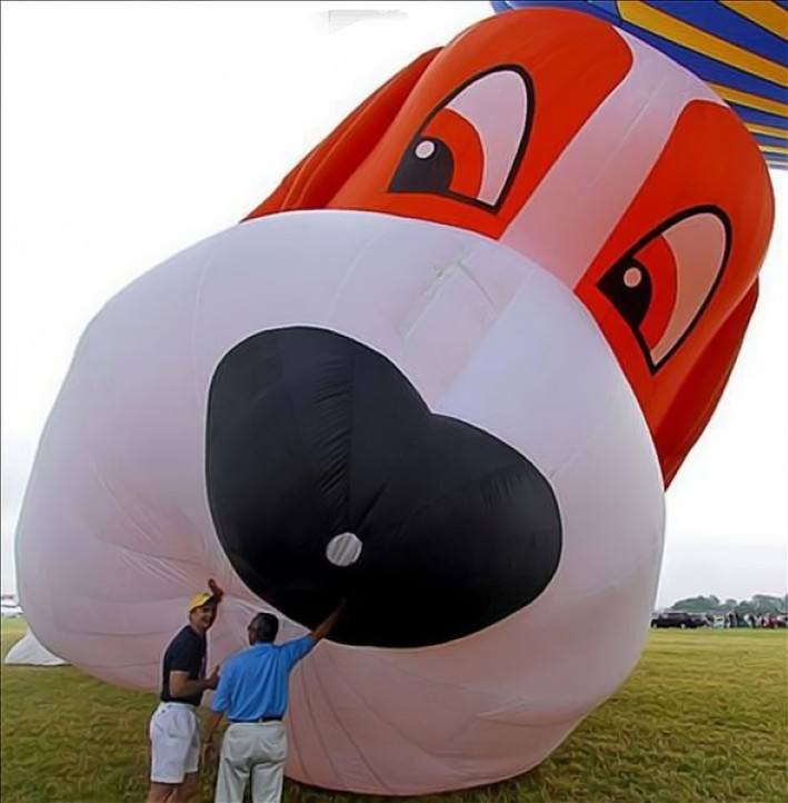 59 шаров. Необычные воздушные шары. Необычный воздушный шар. Гигантский воздушный шар. Самый большой воздушный шар в мире.