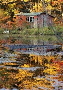 [Autumn+pond.jpg]