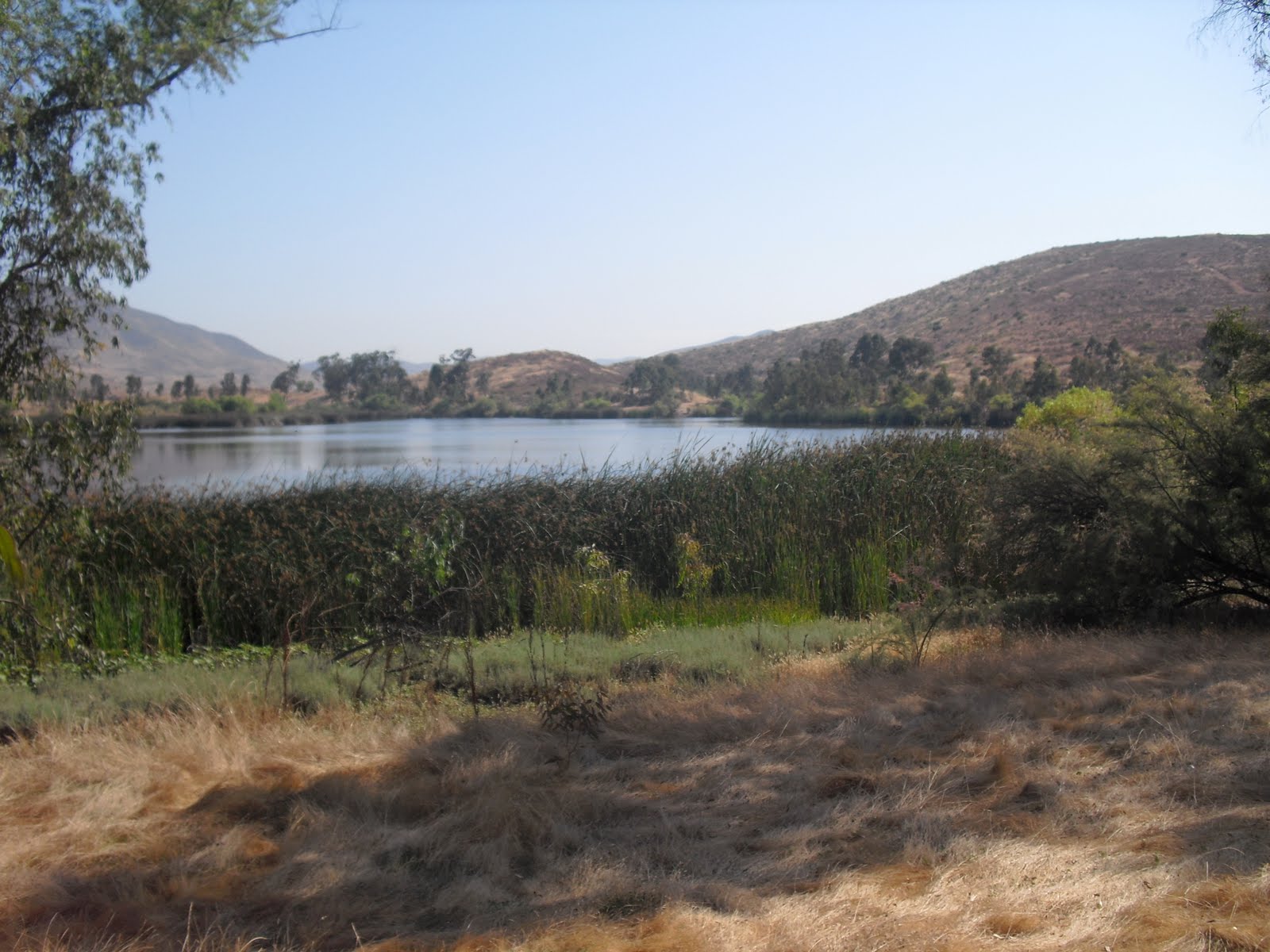 Walking Here and There! Otay Lakes Upper Lake (23)