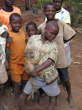 Malawian boys with pet baby baboon