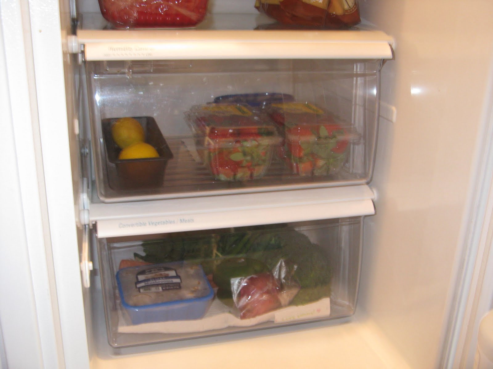 [The+Refrigarator+005.jpg]