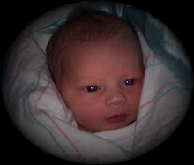 David Timothy Walker