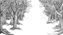 drawing background forest scenery inside project backgrounds drawn archangel draw sketch drawings pencil coloring easy trees forests rainforest detailed wallpapers