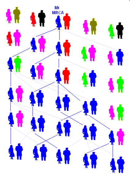 [MatrilinealAncestor.PNG]
