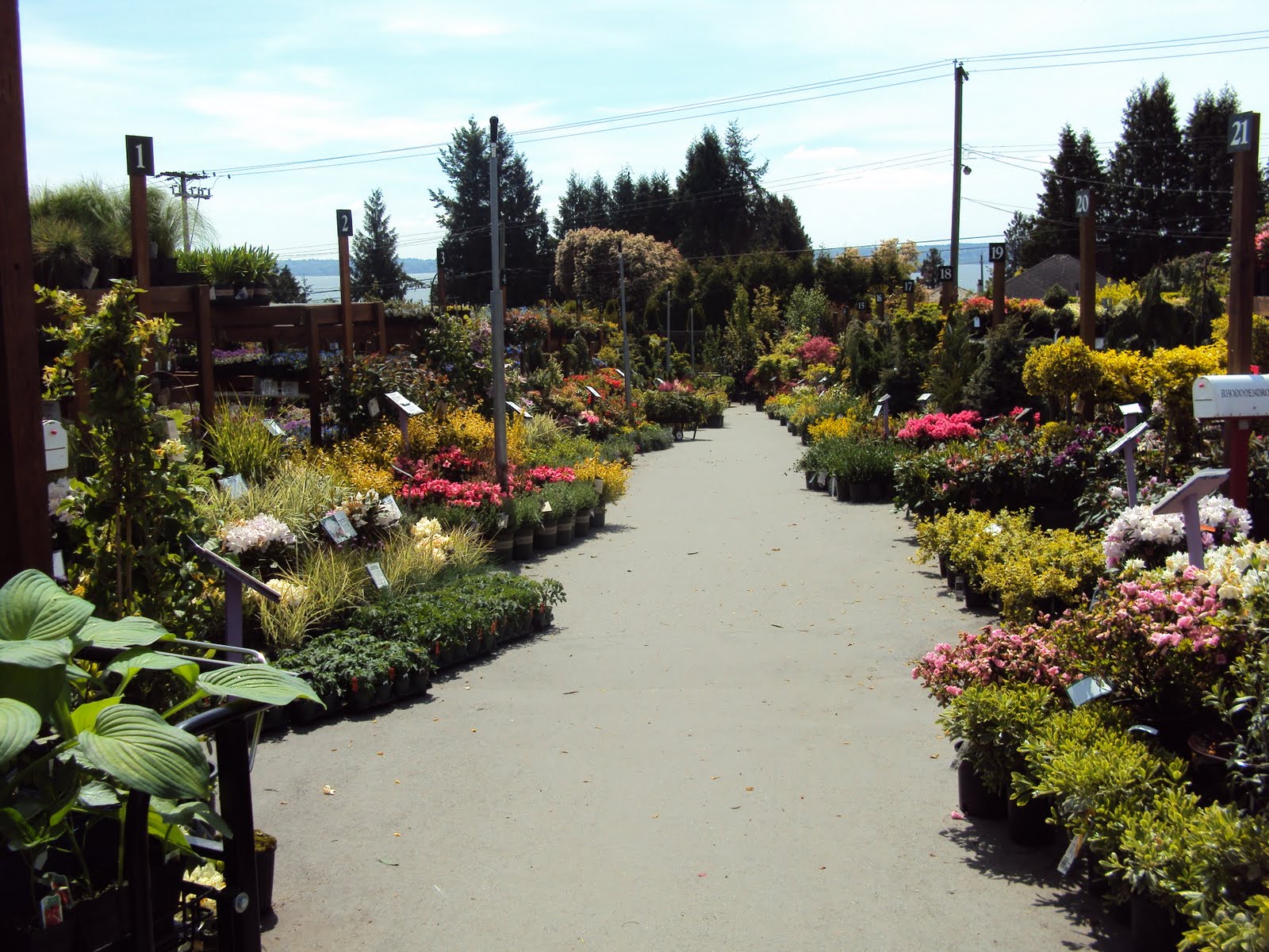 Hey Ray Maple Leaf Garden Centre Tis the season to start gardening.
