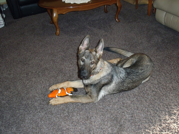 SHILOH