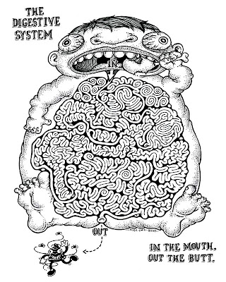 human digestive system diagram for kids. hog digestive diagram,nov
