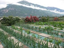 Chefs Organic Garden
