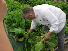 Fiorenzo Pulling Turnips for Lunch