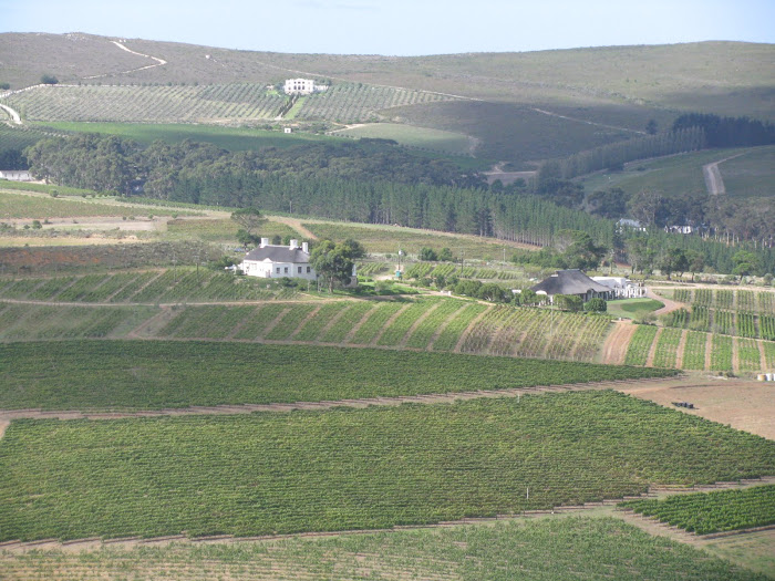 Hermanus Wine Route
