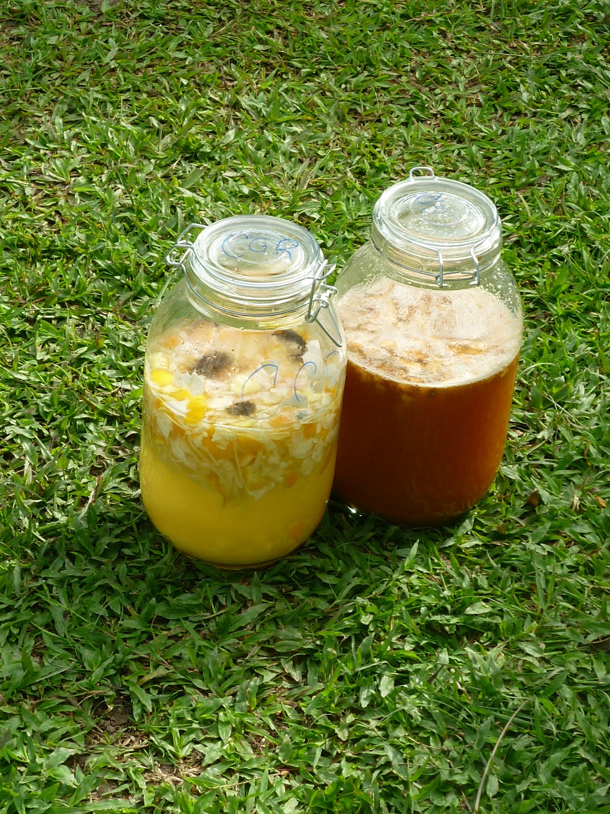MGS Environmental Blog: Takakura Home-composting Method (Part Two)