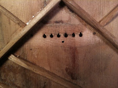 Bridge plate area