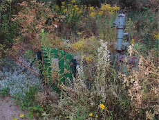 Garten Eins ganz am Anfang