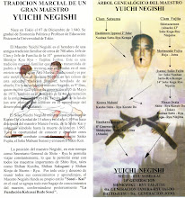 Tradicion Marcial de un Gran Maestro YUISHI NEGUISHI