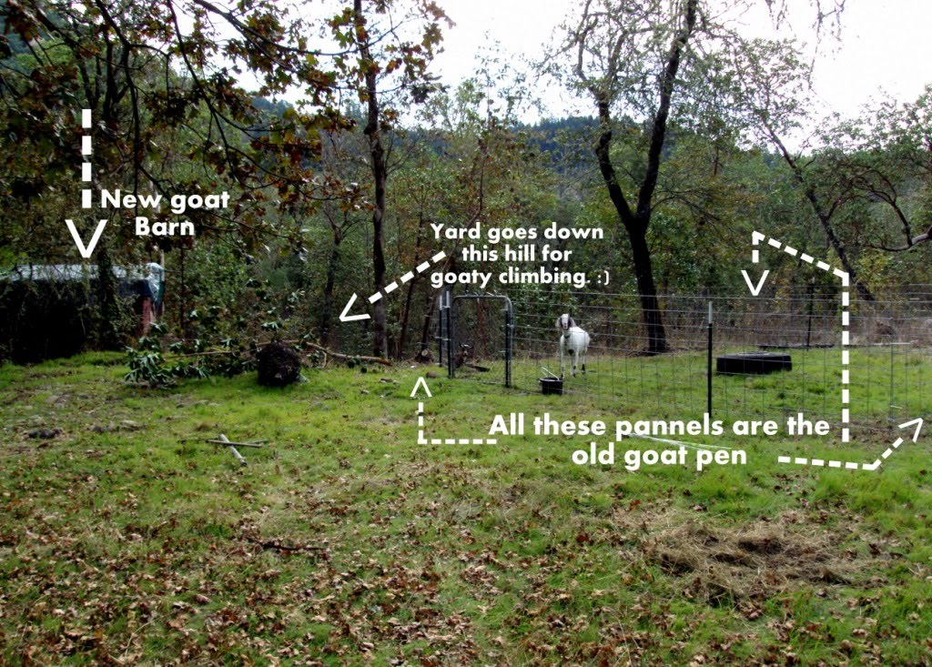 curtis-pdf-plans-goat-barn-layout-8x10x12x14x16x18x20x22x24
