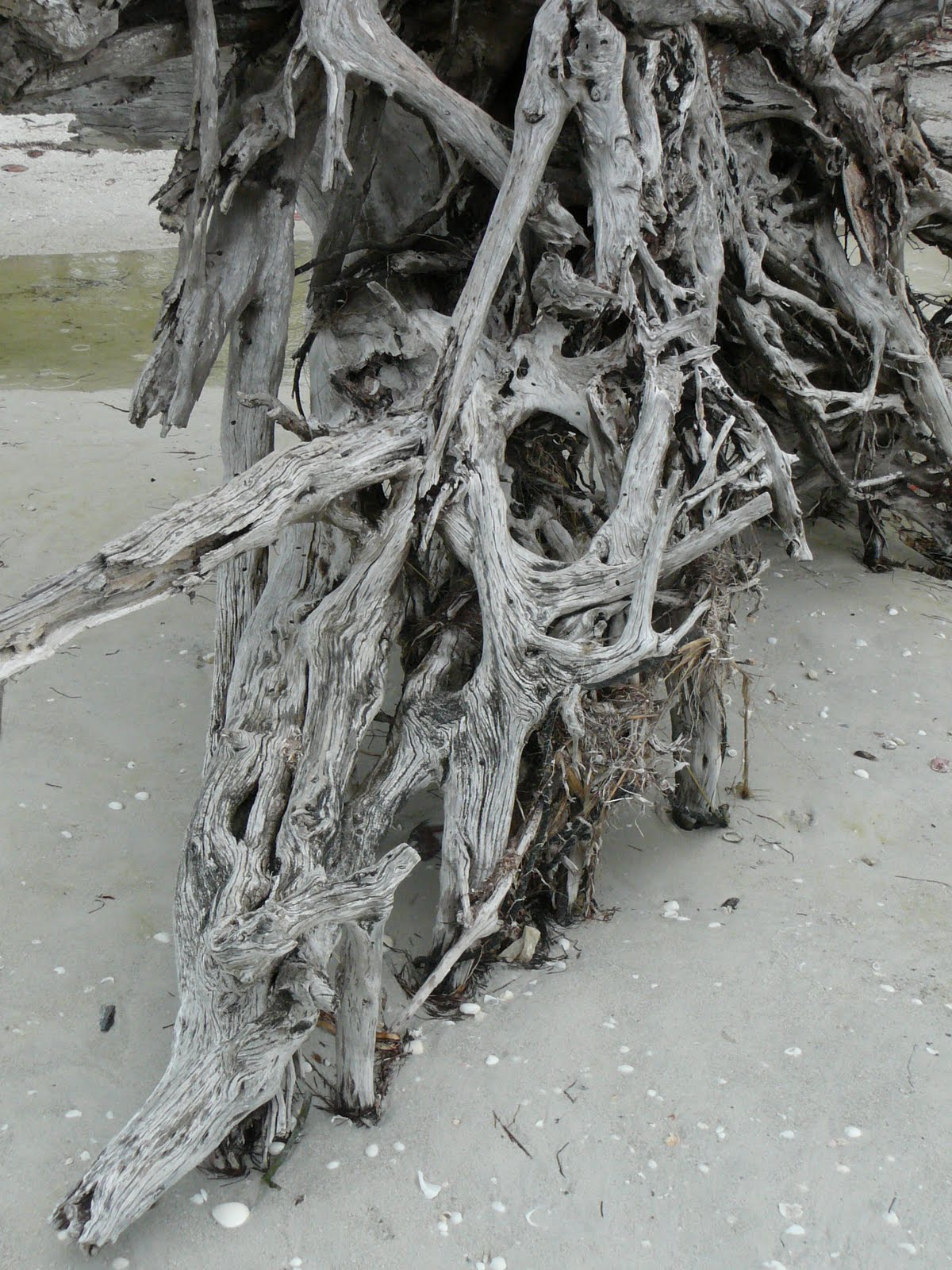 [Beach+Art+III+(5).jpg]