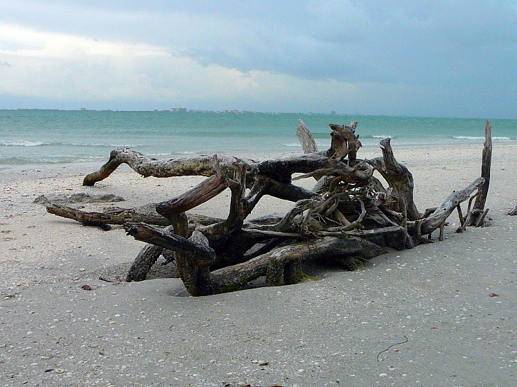 [Beach+Art+III+(15).jpg]