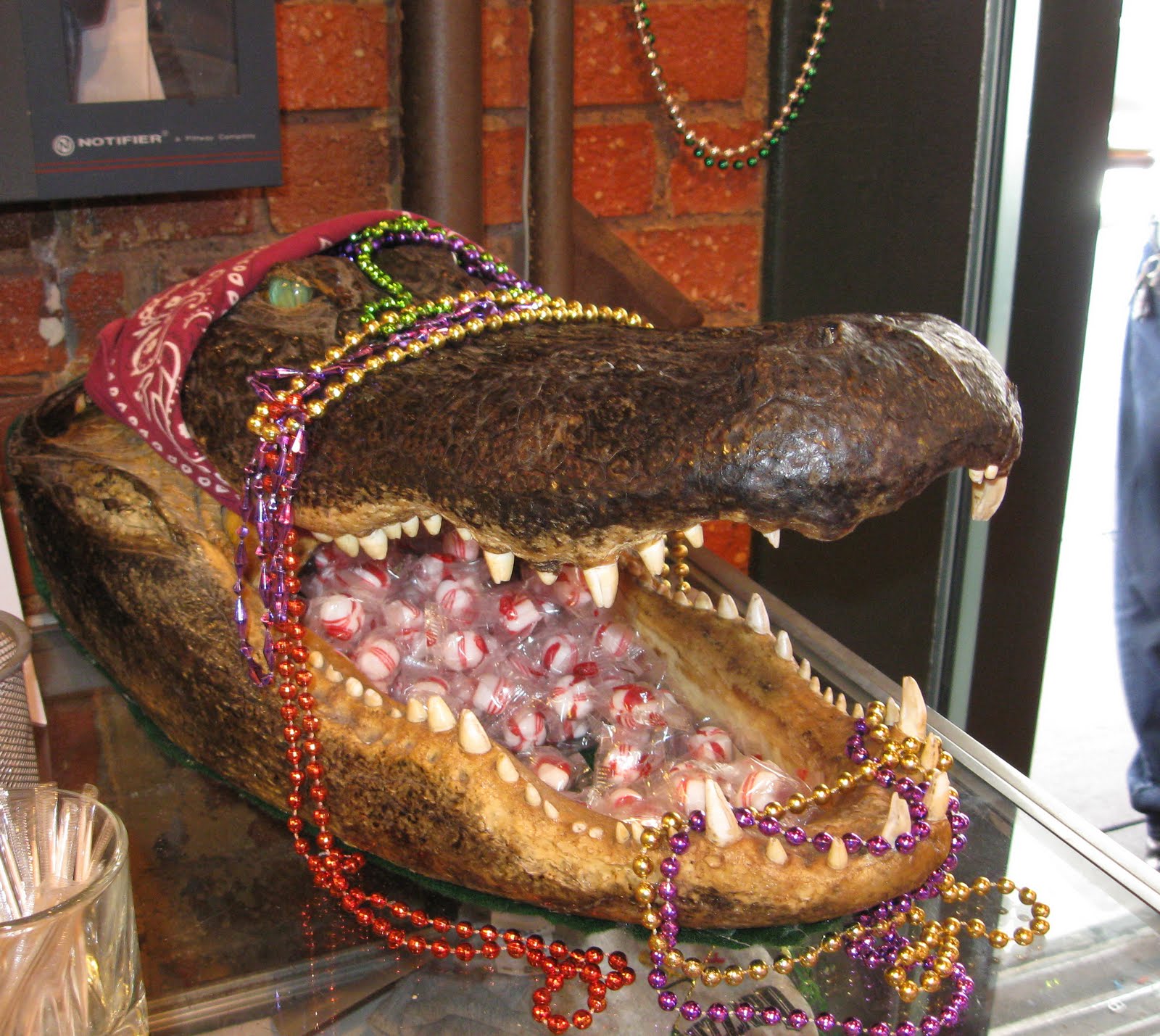 Buzzard Billy S Cajun Creole Restaurant New Orleans Cuisine In Buzzard Billy S Cajun Creole Restaurant Is Located In Lincoln Historic Haymarket Right Across The Street From Licorice International On 8th