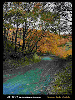 FOTO+OTOÑO+CARTEL+09.jpg
