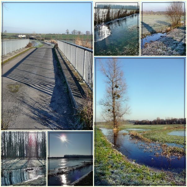 [Blue+Mosaic+Monday+week1+Jan.jpg]