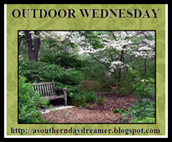[Outdoor_Wednesday_logo_thumb[2].png]