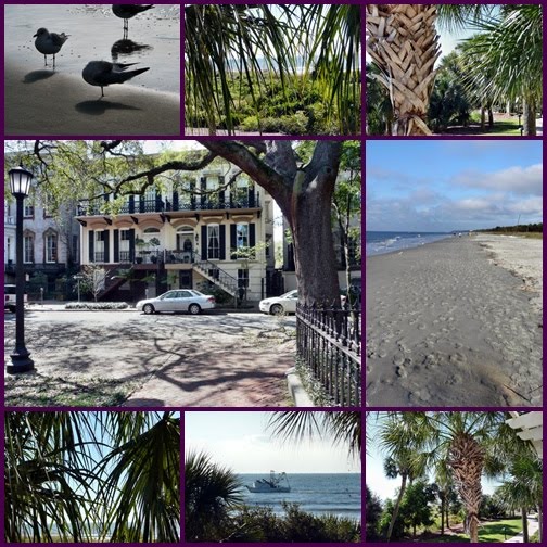 [Sav+HHI+Mosaic.jpg]