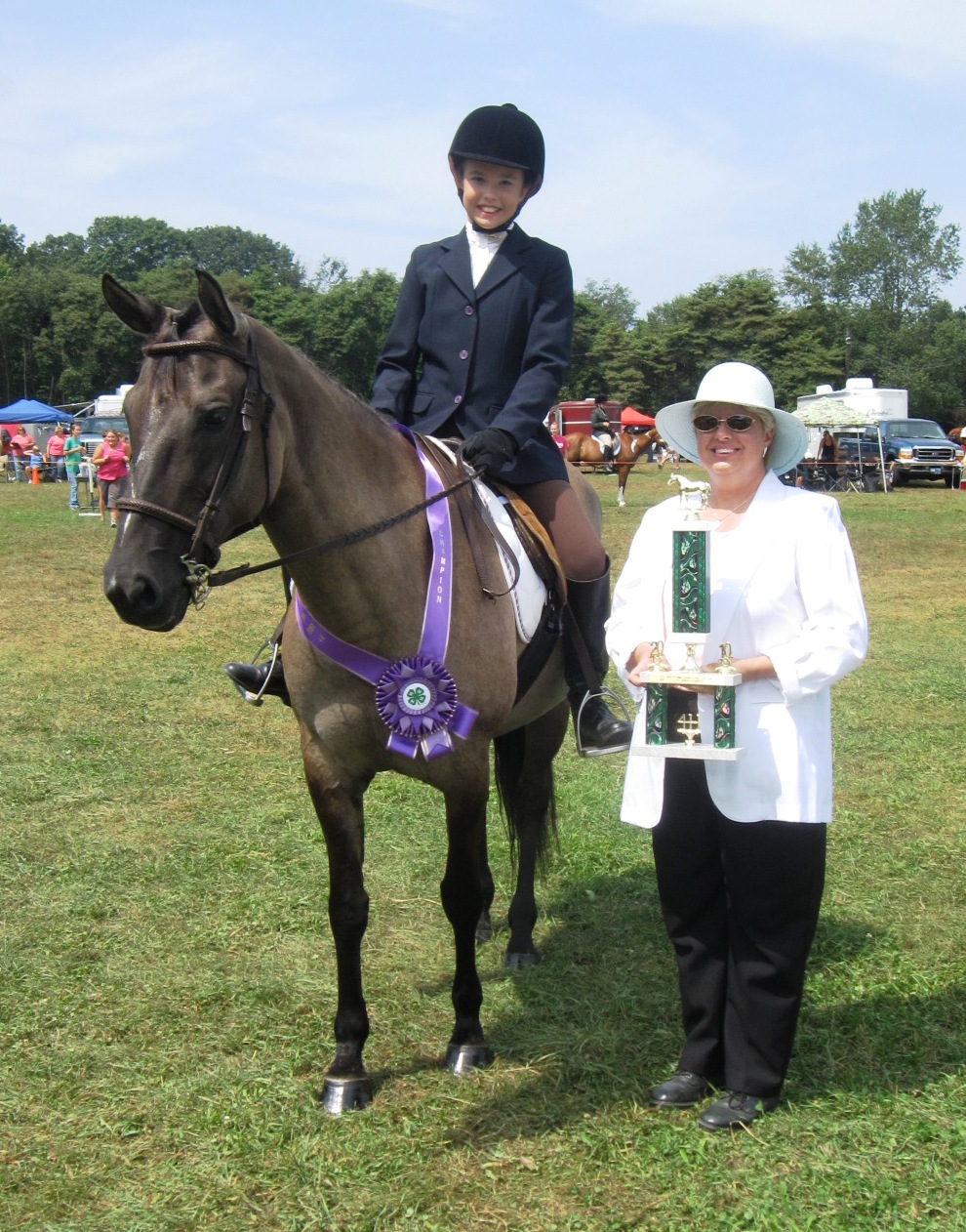 Ottawa County 4H Horse Show Results