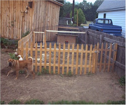 chicken coop chickens picket town outside raising heather fields
