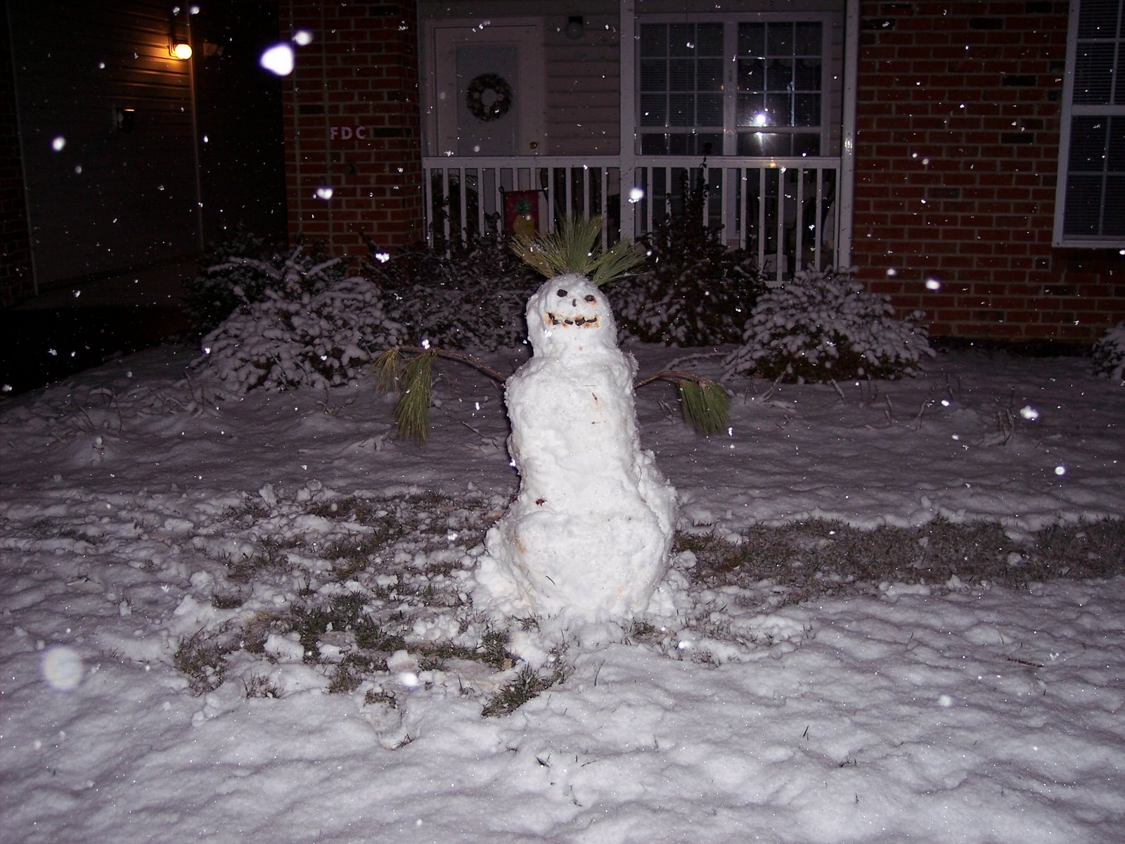 [snowman2+1-19-08.jpg]