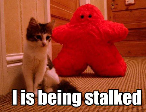 Lolcats.com