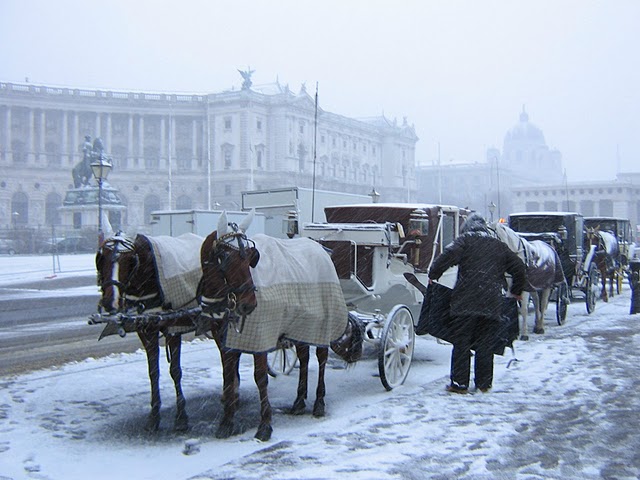 VIENA. 1.993