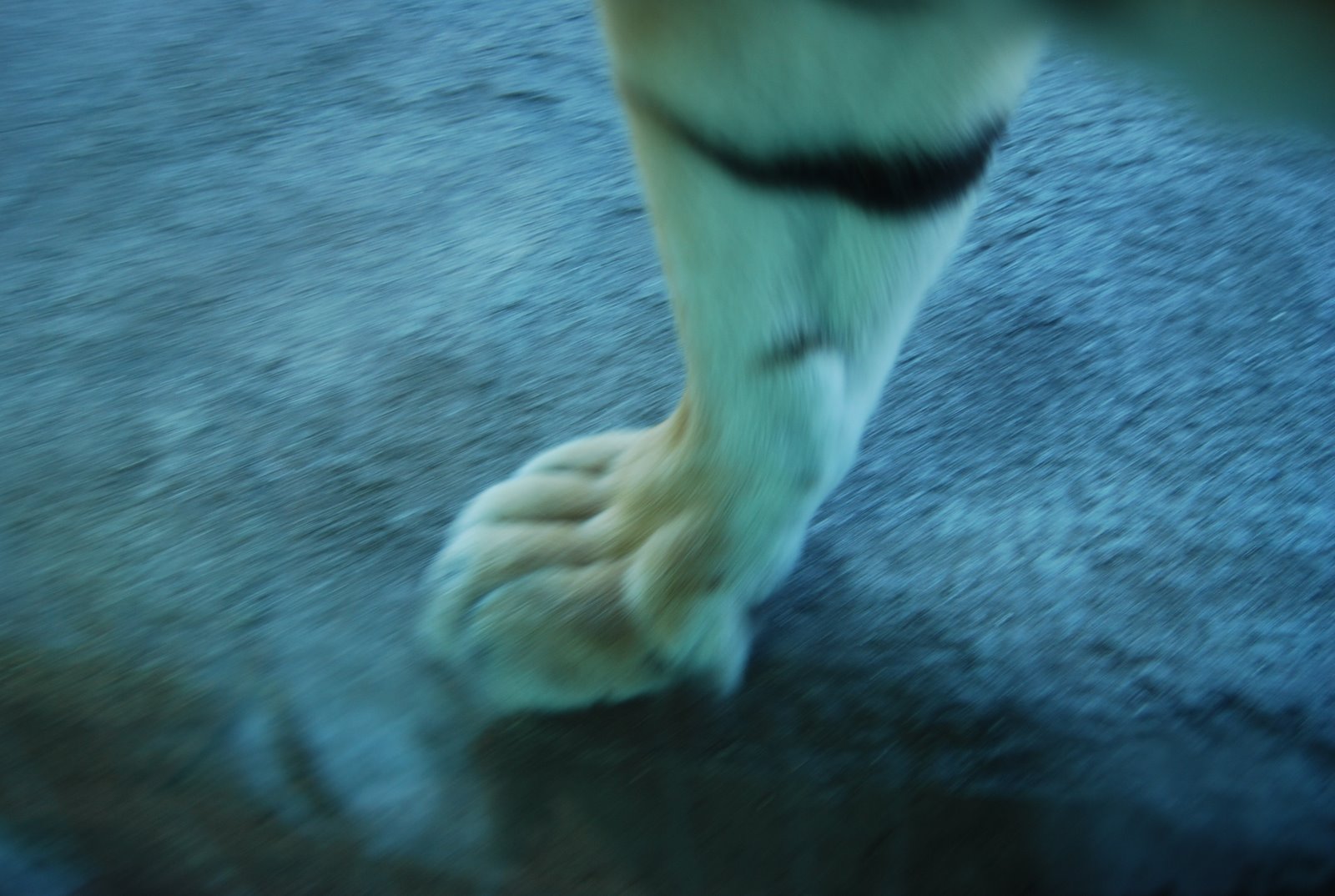 [DSC_4726.JPG]