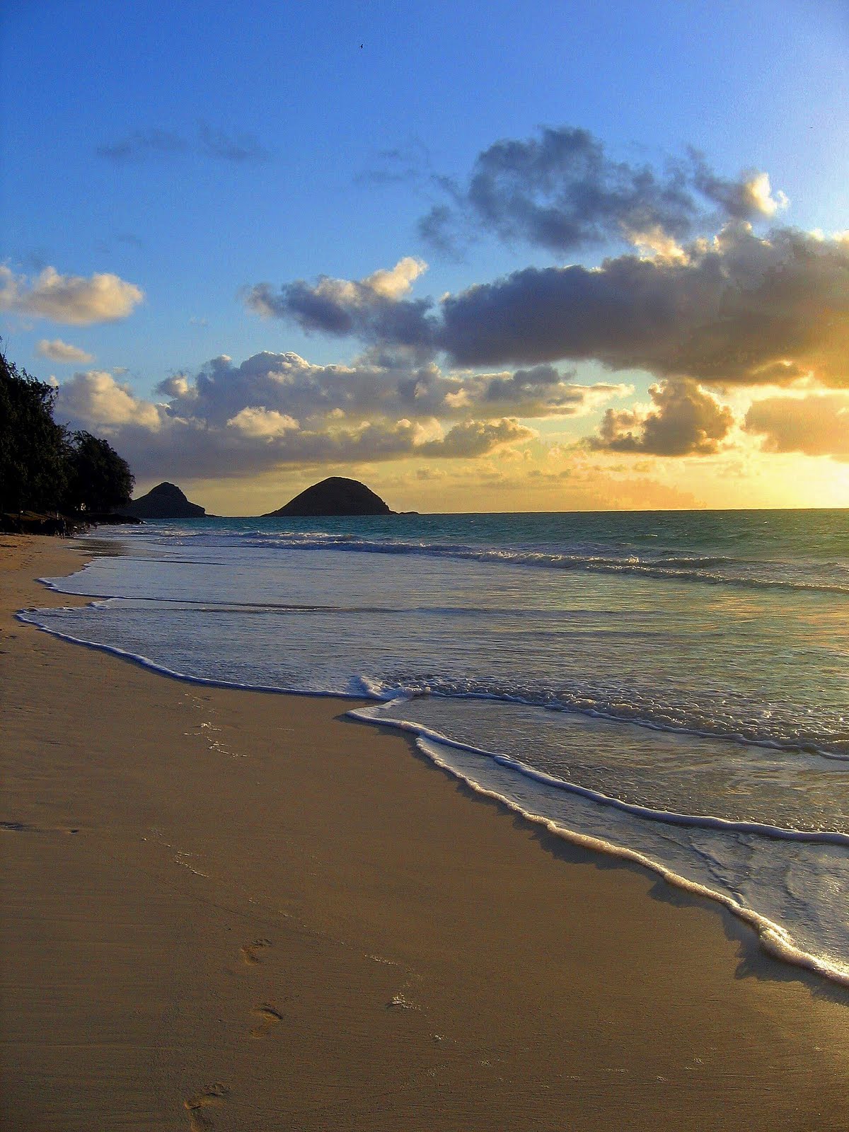 Couple'S Shocking Beach Hookup For Charity - y4v3j2c