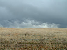 Earth & Sky, Boulder County