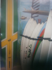 The 9`1" Cruiser